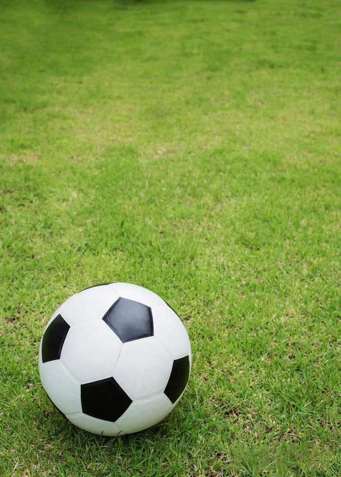 新手球迷学习场景